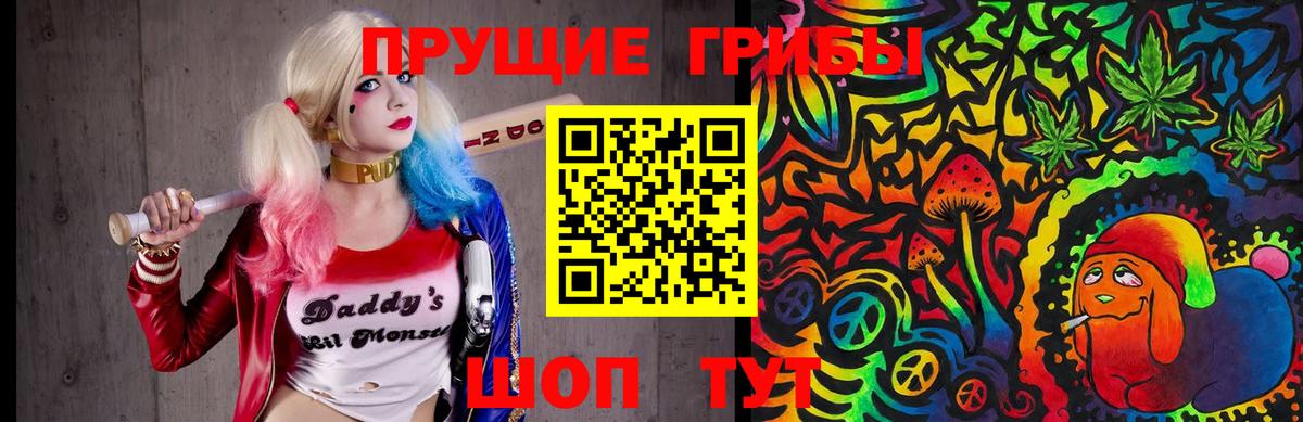 Псилоцибиновые грибы Psilocybe Новочебоксарск